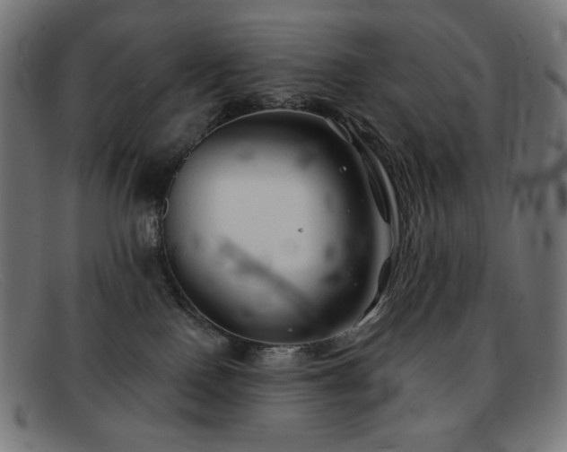 X0000091890090200709121448