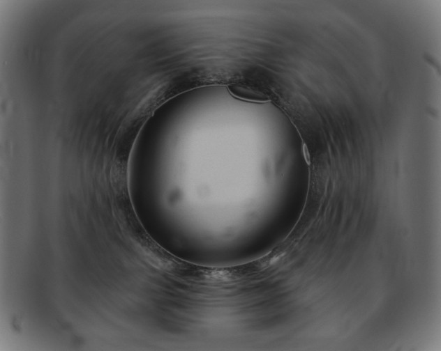 X0000091890091200709121448