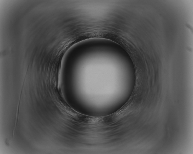 X0000091890096200709121448