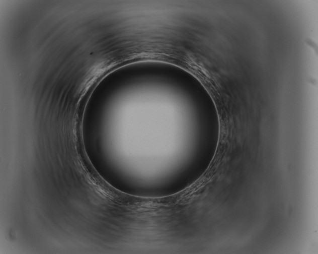 X0000091890098200709121447