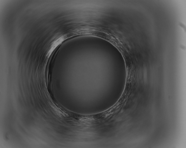 X0000091890099200709121447