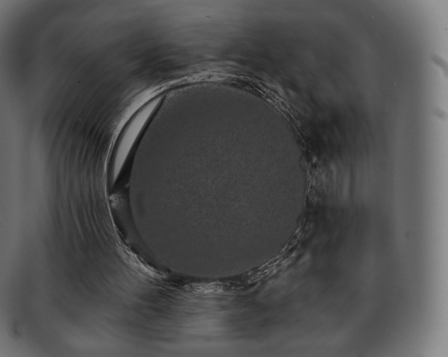 X0000091890100200709121447