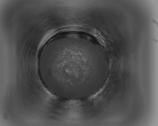 X0000091890101200709121447