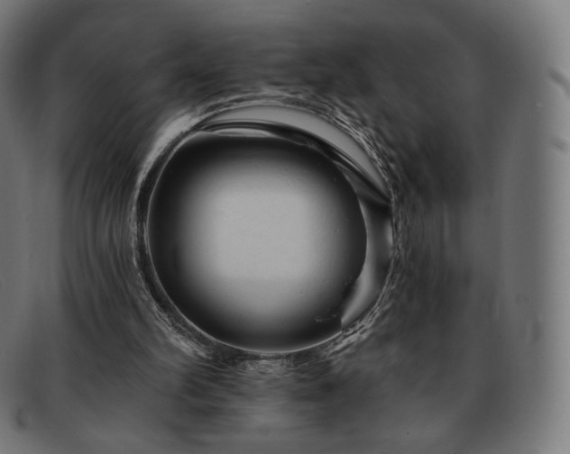 X0000091890102200709121447