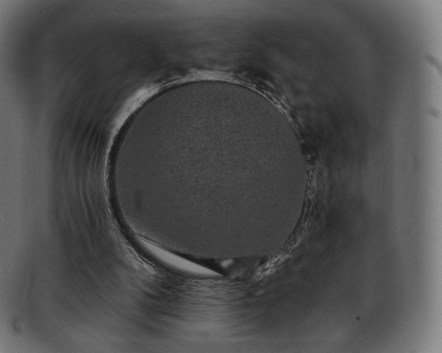X0000091890104200709121447