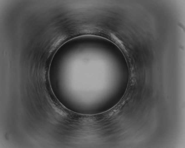 X0000091890106200709121447
