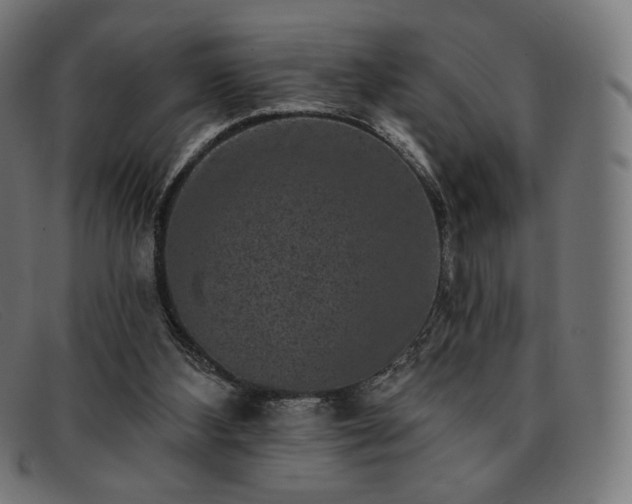 X0000091890108200709121447