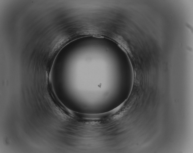 X0000091890109200709121447