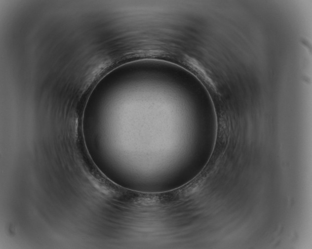 X0000091890110200709121447