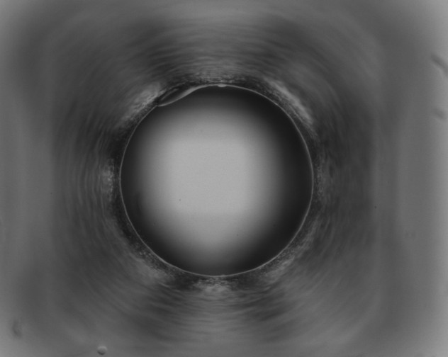 X0000091890113200709121447