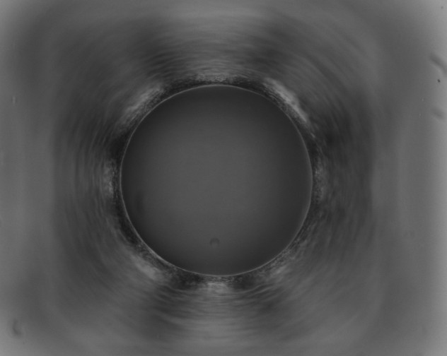 X0000091890114200709121447