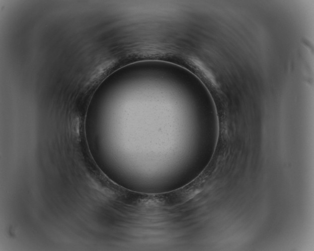 X0000091890115200709121447