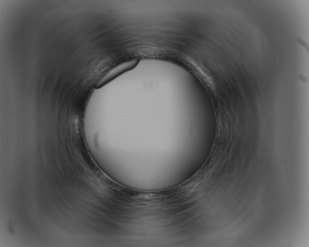 X0000091890117200709121447