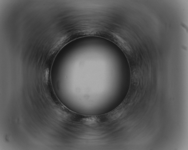 X0000091890118200709121447