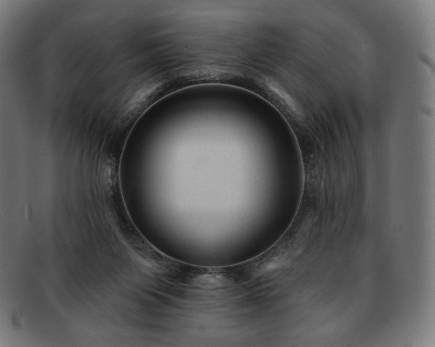 X0000091890119200709121447