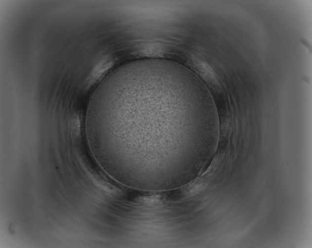 X0000091890120200709121447
