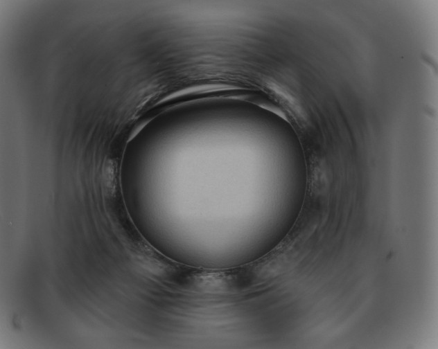 X0000091890121200709121447