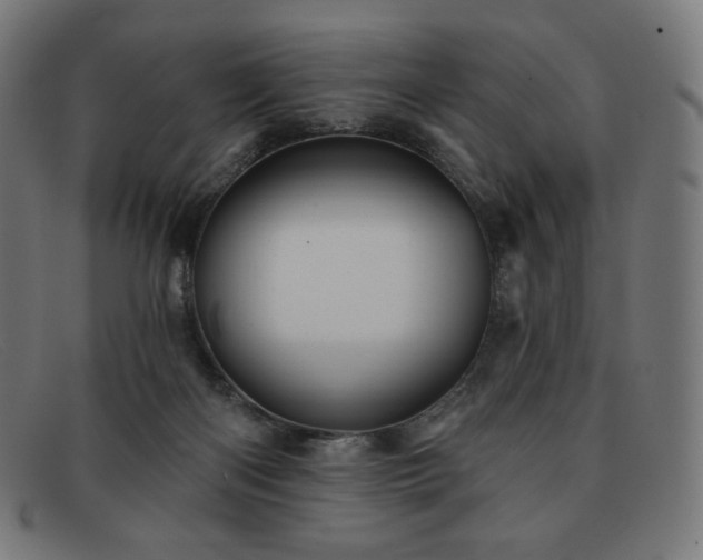 X0000091890122200709121447