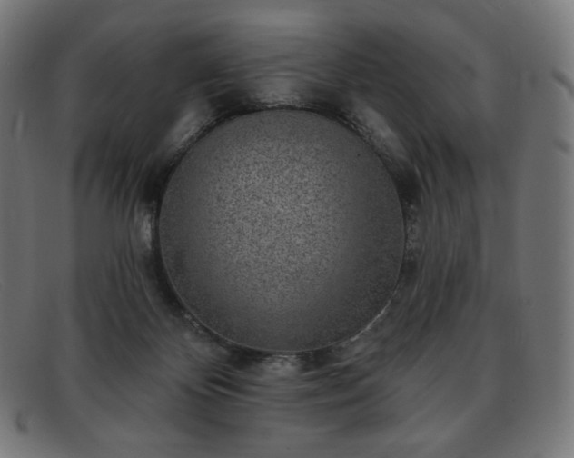 X0000091890124200709121447
