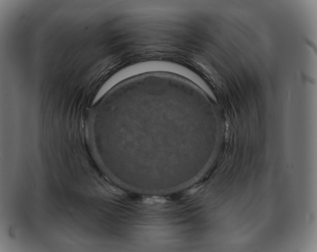 X0000091890125200709121447