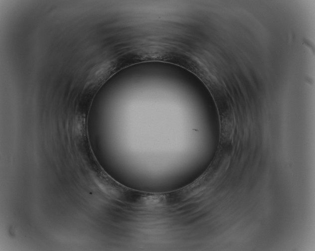X0000091890126200709121447