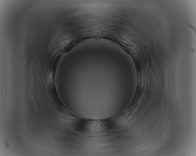 X0000091890127200709121447