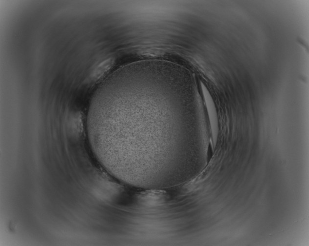 X0000091890128200709121447