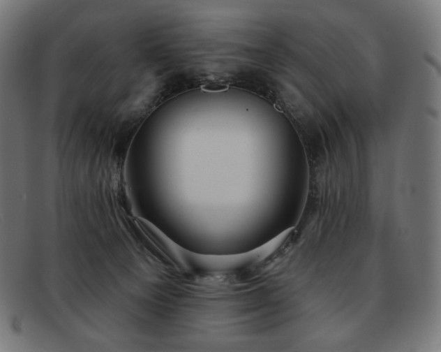 X0000091890129200709121447