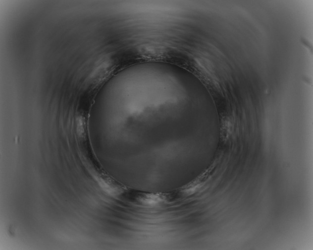 X0000091890130200709121447