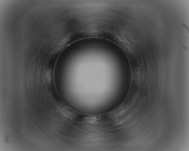 X0000091890131200709121447