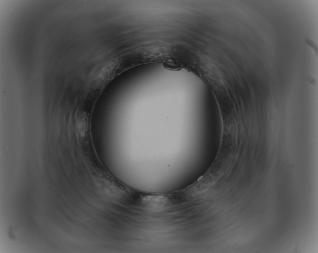 X0000091890133200709121447