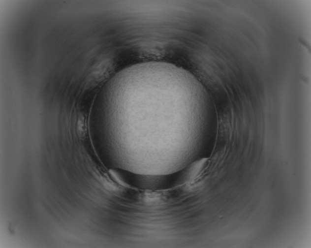 X0000091890134200709121447