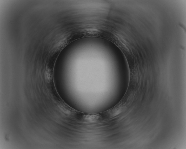 X0000091890135200709121447
