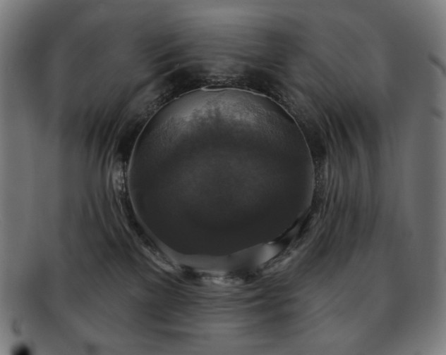 X0000091890137200709121447
