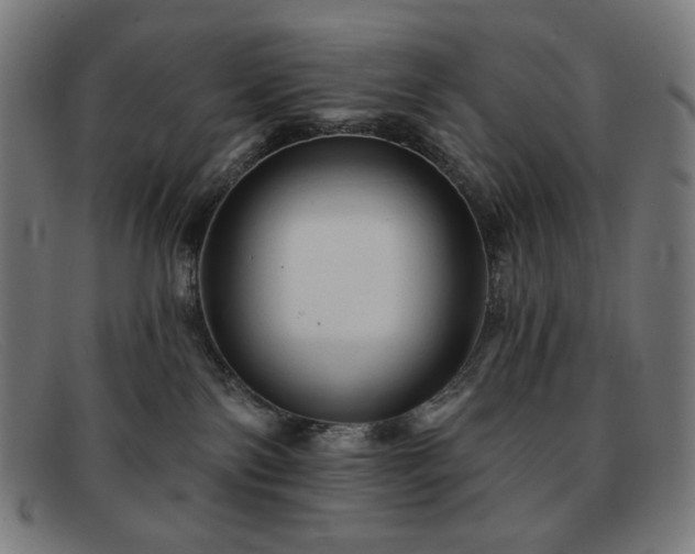 X0000091890138200709121447