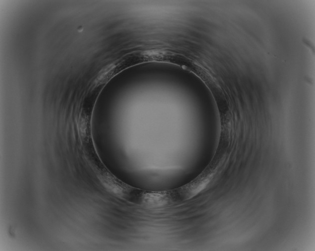 X0000091890139200709121447