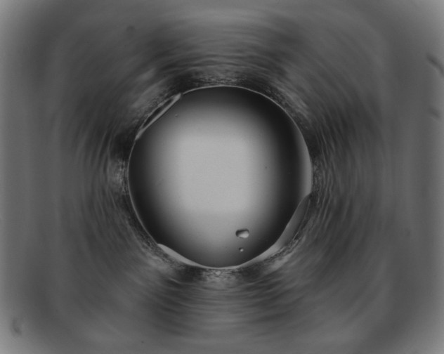 X0000091890141200709121447