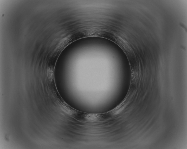 X0000091890142200709121447