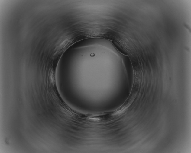 X0000091890143200709121447