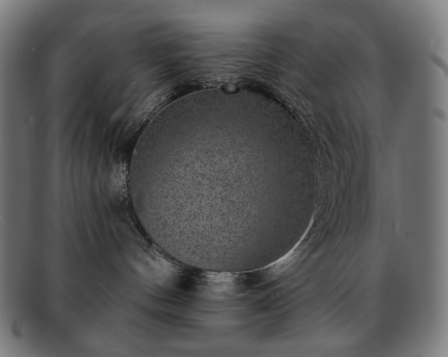 X0000091890144200709121447
