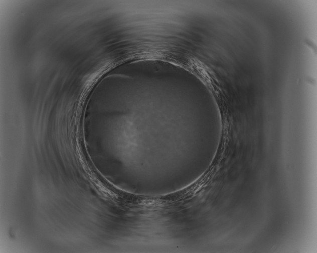 X0000091890145200709121446