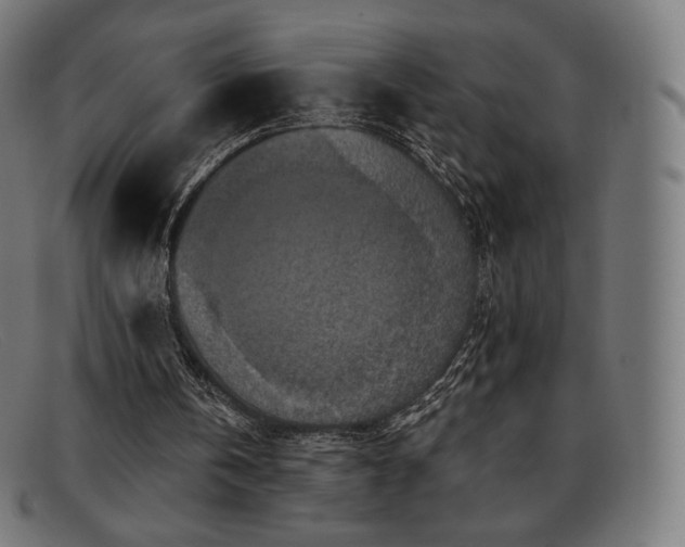 X0000091890146200709121446