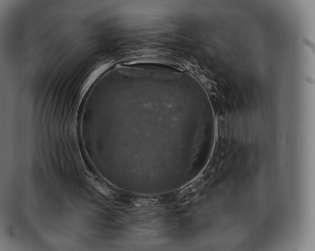 X0000091890147200709121446