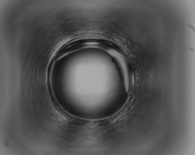 X0000091890148200709121446