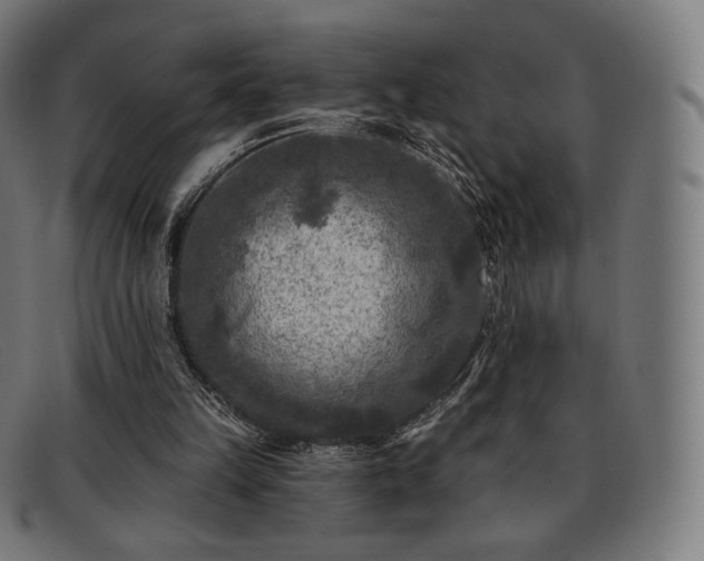 X0000091890149200709121446