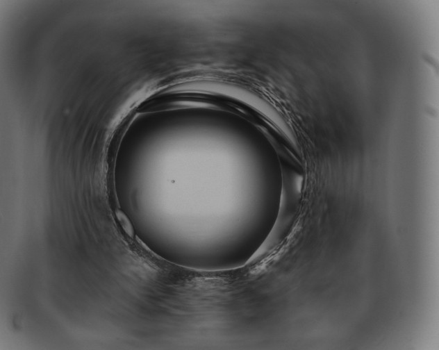 X0000091890150200709121446