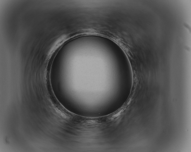 X0000091890151200709121446