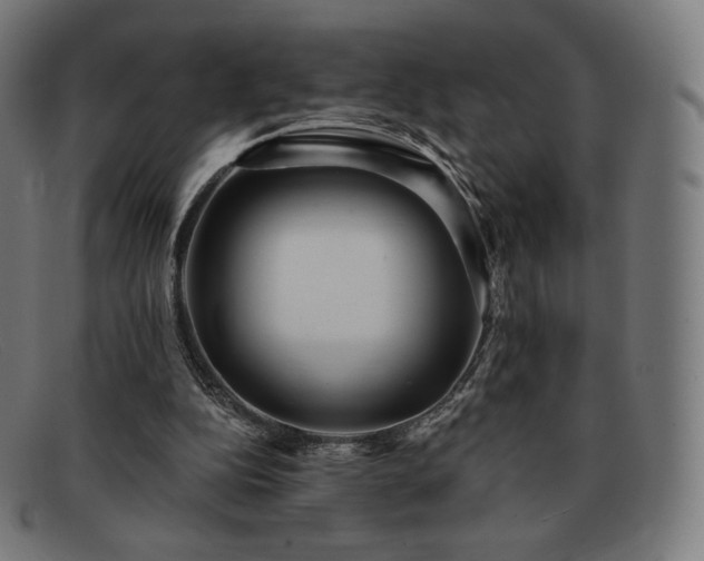 X0000091890152200709121446