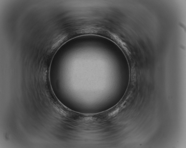 X0000091890153200709121446