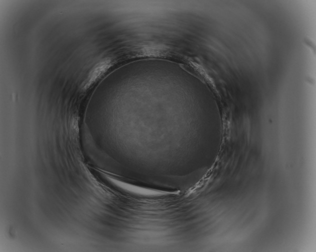 X0000091890154200709121446